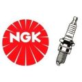 NGK Buji