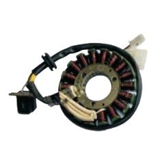 Regal Raptor DD250G-3 Sargı Statör Moto11