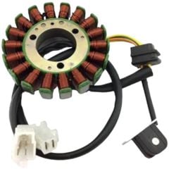 Tiger 250 Statör Moto11