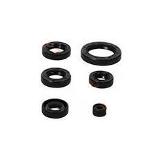 AS 150 Ns 150 Motor keçe seti Moto11