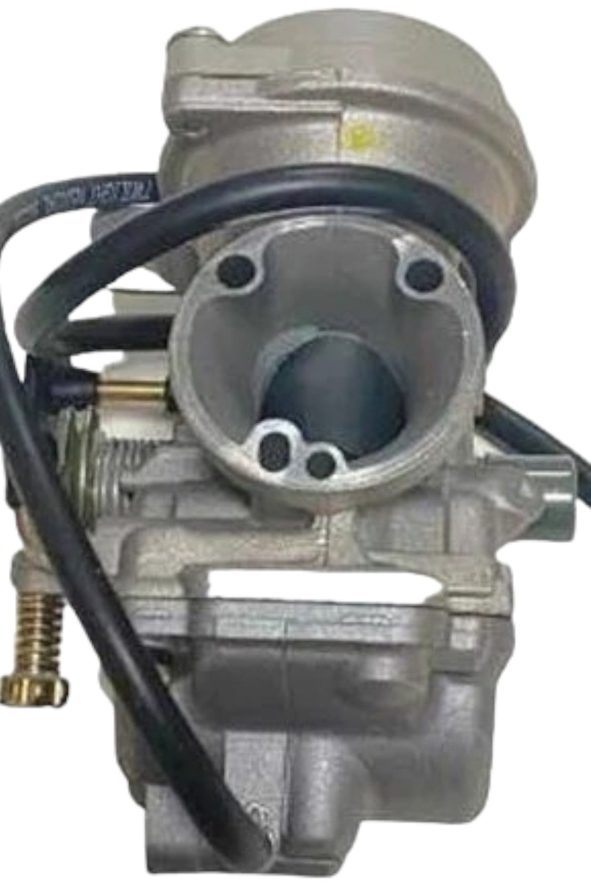 Apache RTR 150 Karbüratör Yan sanayi Moto11