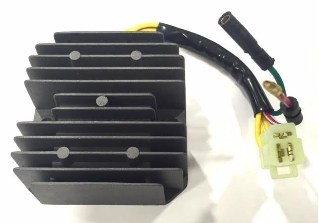 Regal Raptor 250 Konjektör Moto11