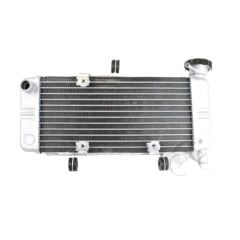 CBR 250 R Radyatör 2010-14 Moto11