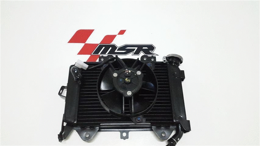 Pulsar Ns 200 Radyatör Moto11