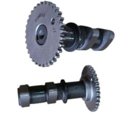 250 Sr Egzantrik Mili