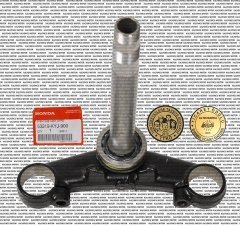 Honda Cbr 250 Orjinal Mesnet Platin Maşa Moto11