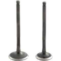 Cygnus x Sübap Seti Moto11