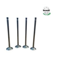 Benelli 125 S Subap Takımı