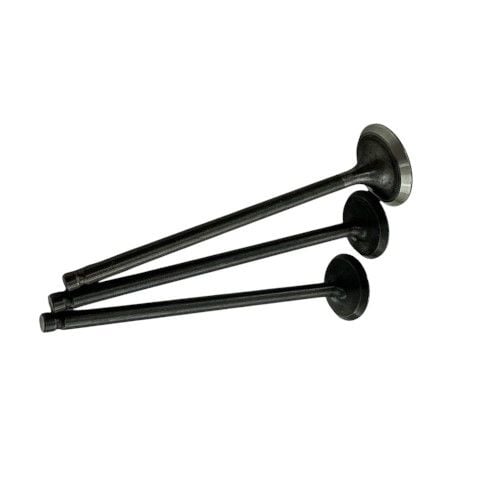 Tvs Raider 125 Subap Set