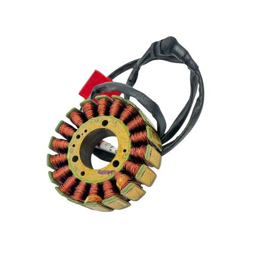 Dominar 250 Statör Sargı Moto11