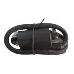 Buffalo 250 Ateşleme Bobini Moto11