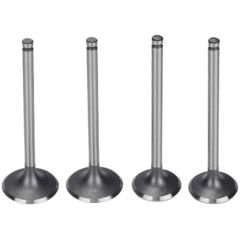 Regal Raptor 250 Subap Takımı 4 Lü Moto11