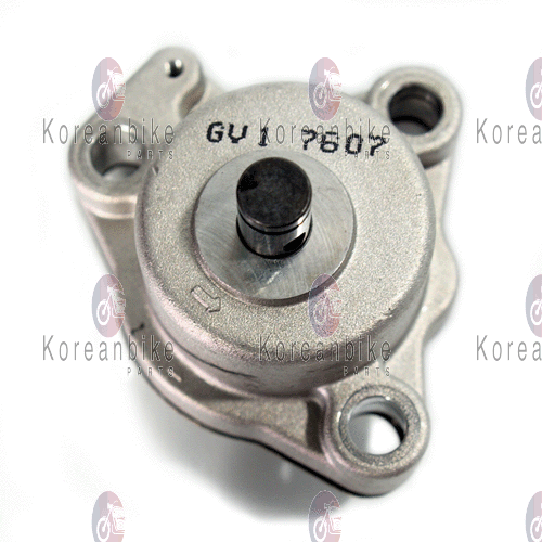 Gv 250 Yağ Pompası Moto11