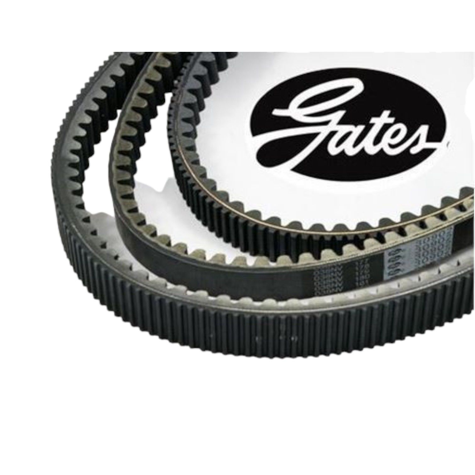 SılverWing 400 Gates Kayış Moto11