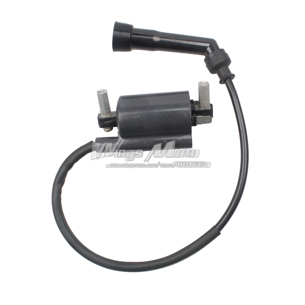 İnazuma 250 Ateşleme Bobini Moto11