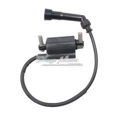 İnazuma 250 Ateşleme Bobini Moto11