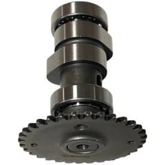 An 125 Egzantrik Mili Moto11