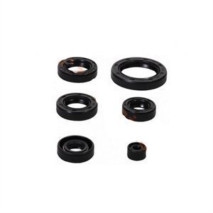 Pulsar Ns 150 Motor Keçe Seti Moto11