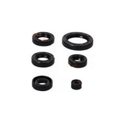 Pulsar Ns 150 Motor Keçe Seti Moto11