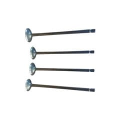 Srk 125 R Subap Takımı Qj Motor