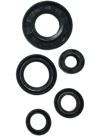 Ybr Esd 125 Motor Keçe Seti Moto11