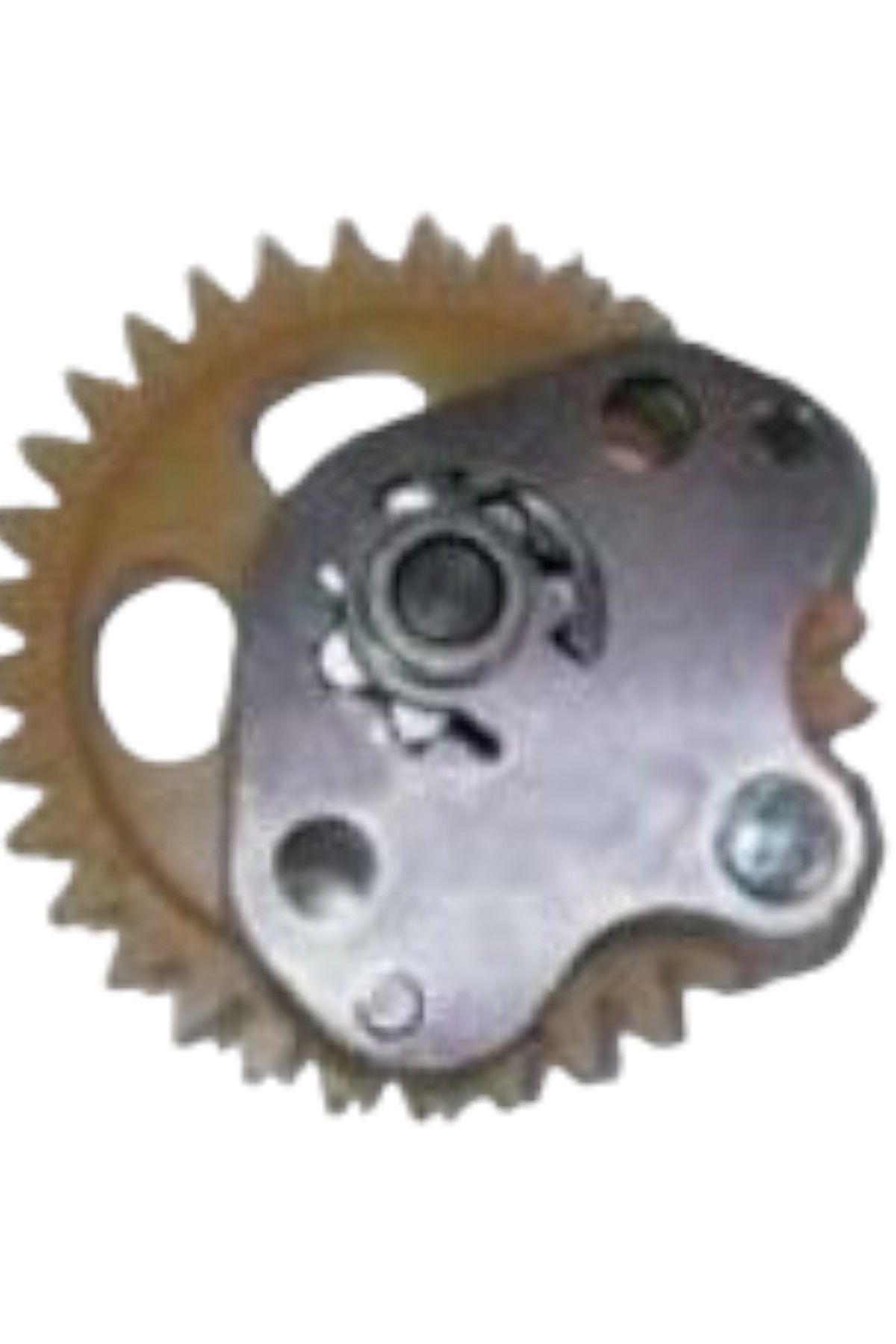 Cripton 110 Yağ pompası Moto11