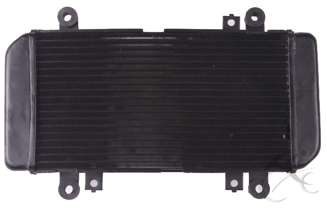 Ninja 250 Radyatör Moto11