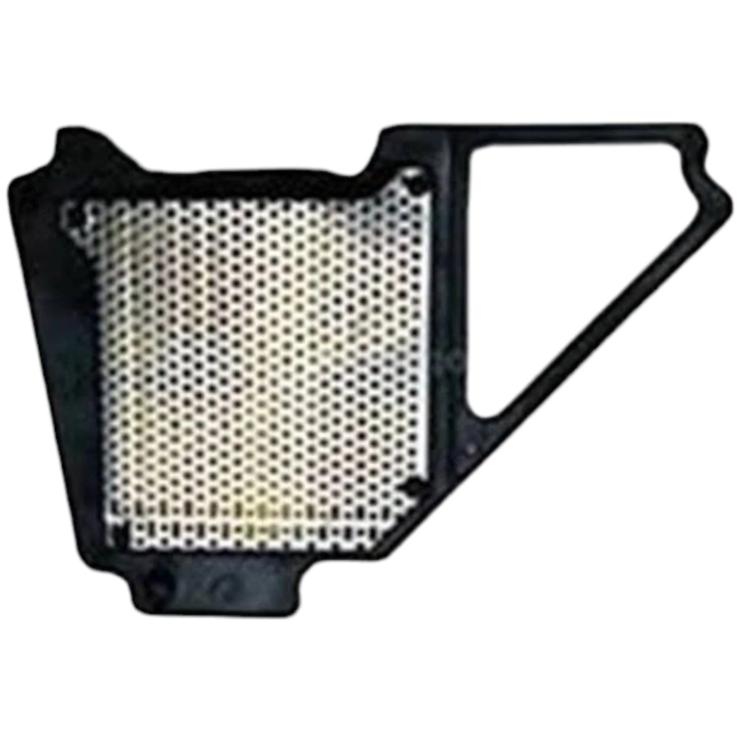 Ybr Esd Hava Filtresi Moto11