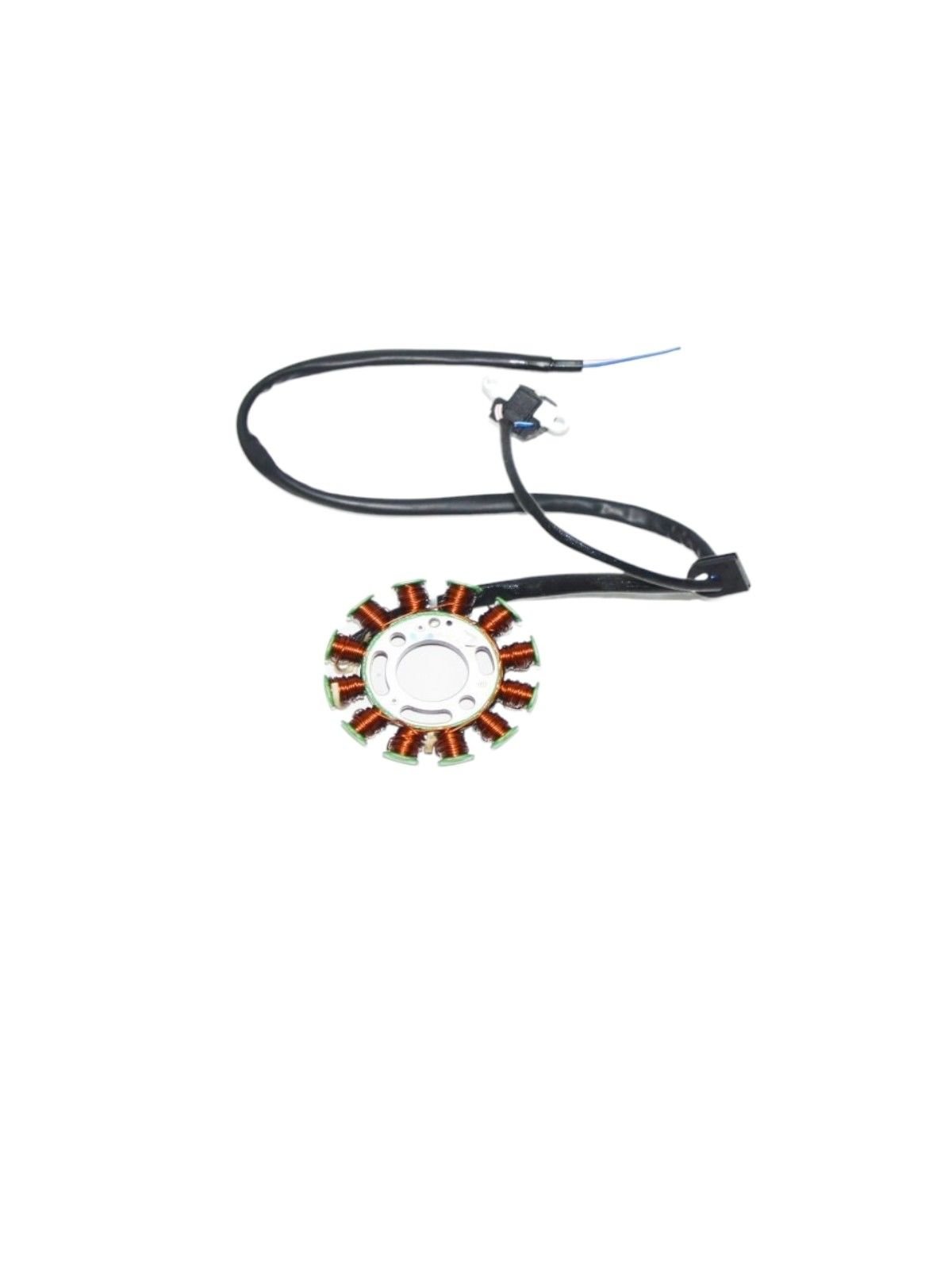 Zenzero 125 Statör Moto11