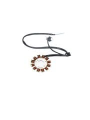 Zenzero 125 Statör Moto11