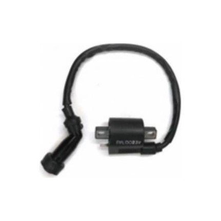 Pleasure Ateşleme Bobini Moto11