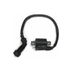 Pleasure Ateşleme Bobini Moto11