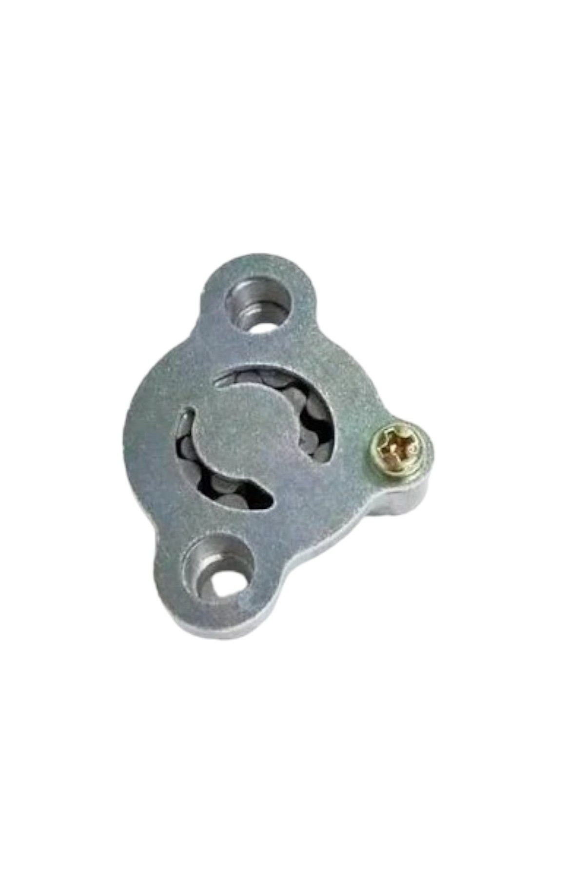 Pleasure Yağ Pompası Moto11