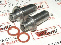 Pleasure Subap Gaydı Moto11