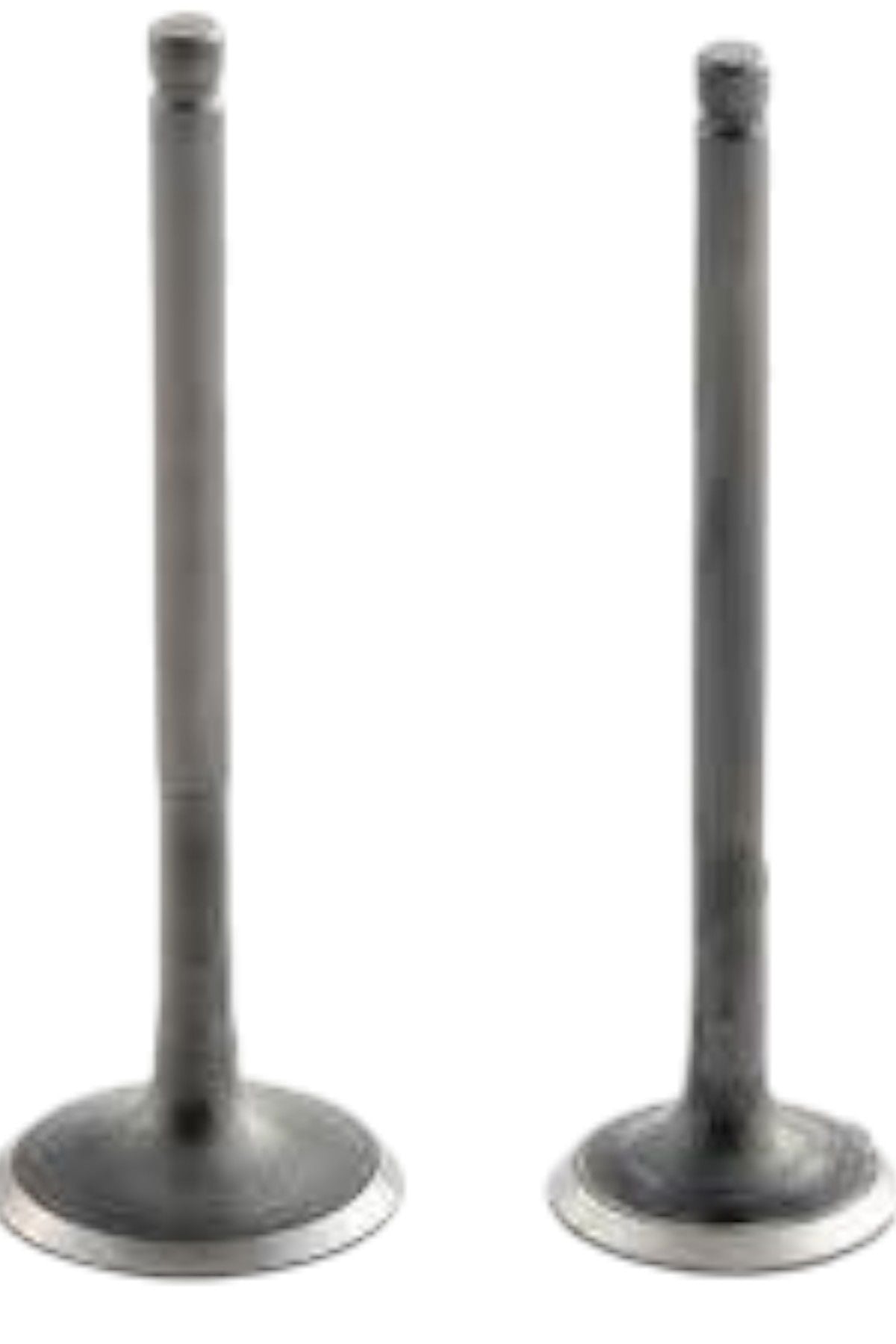 Pleasure Subap Moto11