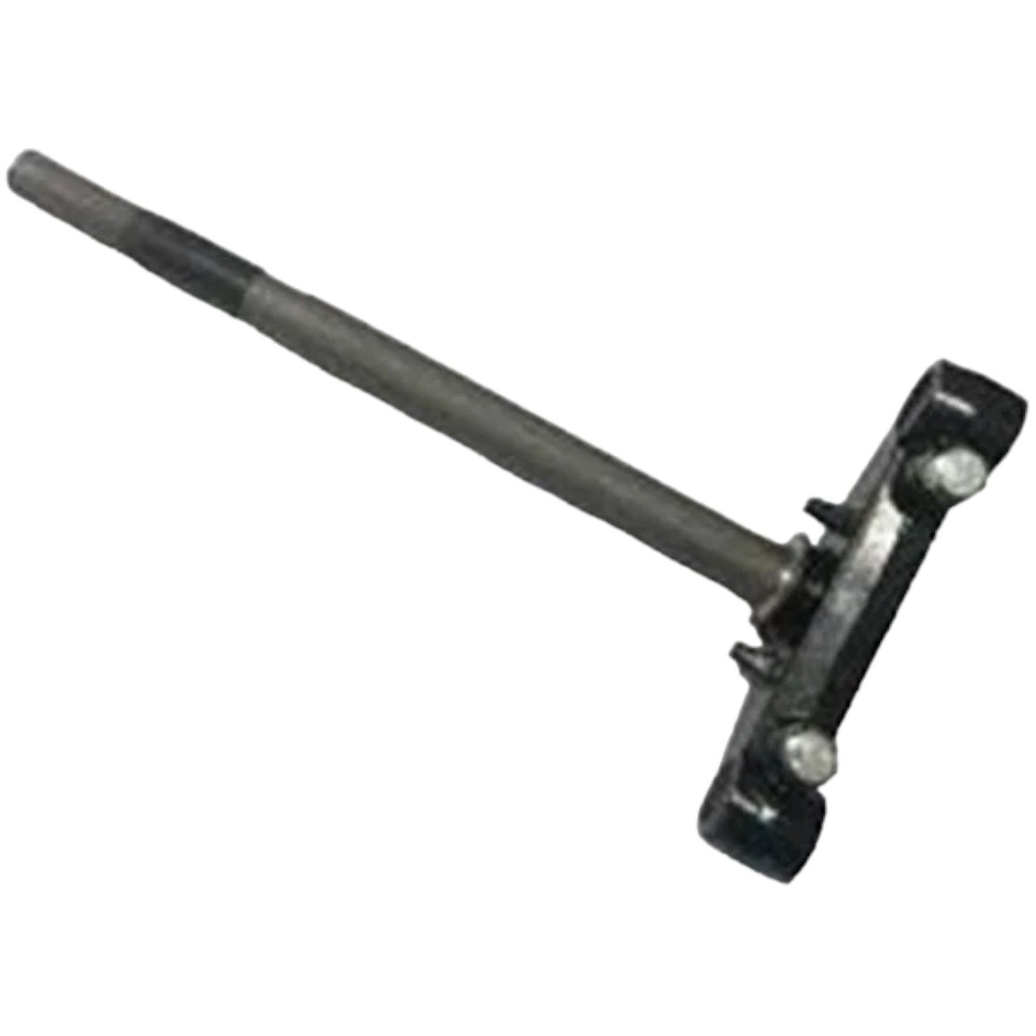 Cygnus L 100 Maşa Mesnet Moto11