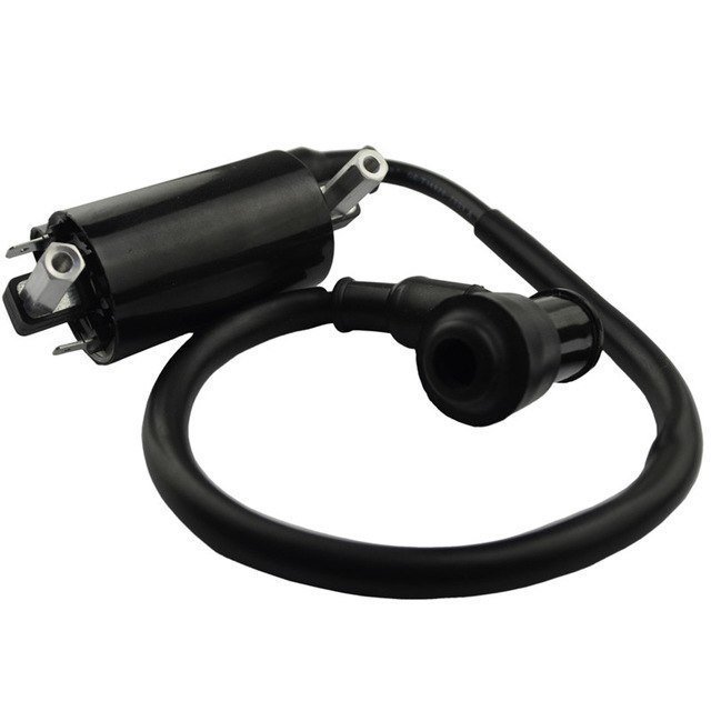 Bugman 400 Ateşleme Bobini Moto11