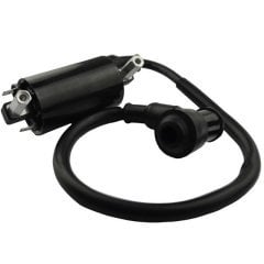 Bugman 400 Ateşleme Bobini Moto11