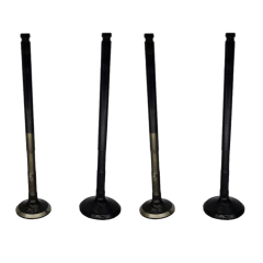 R25 Subap Takımı Oem