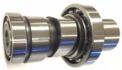 Dylan 150 Eksantrik Mili Moto11