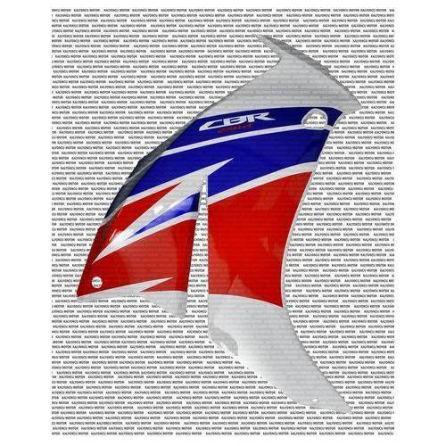 Cbr 250 R ön Sol Grenaj Beyaz 2011 2013 Moto11