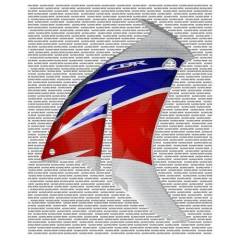 Cbr 250 R ön Sol Grenaj Beyaz 2011 2013 Moto11