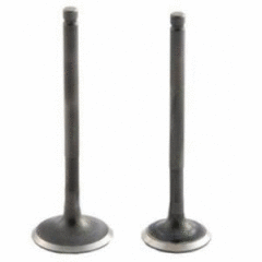 Foresight 250 fes 250 Subap Seti Moto11