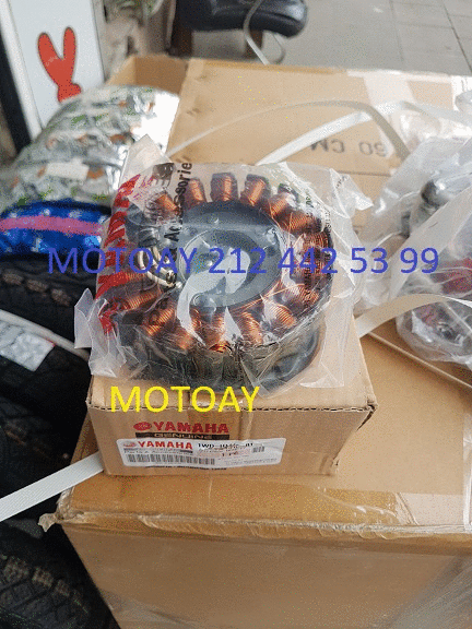 Yzf R25 Sargı Orjinal Statör Moto11