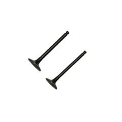 Private 125 Subap Set Oem