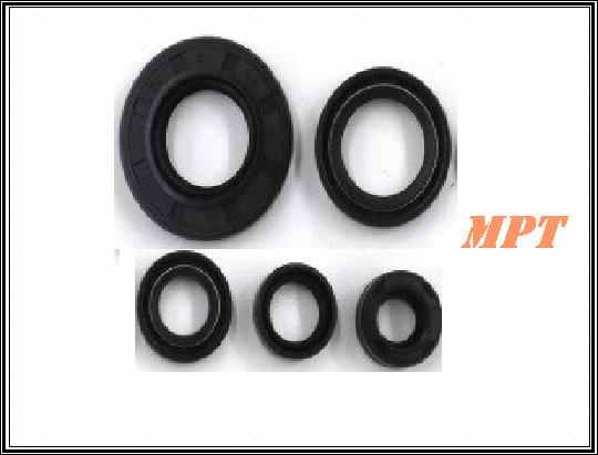 Mct 250 Motor Keçe Takımı Moto11