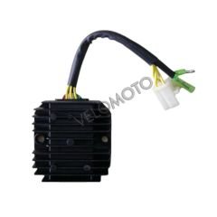 Regal Raptor DD250E Konjektör Regulatör Moto11