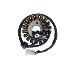 Srk 125 R Statör Qj Motor
